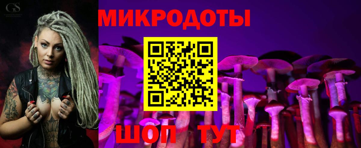 Псилоцибиновые грибы Psilocybine cubensis Богородицк