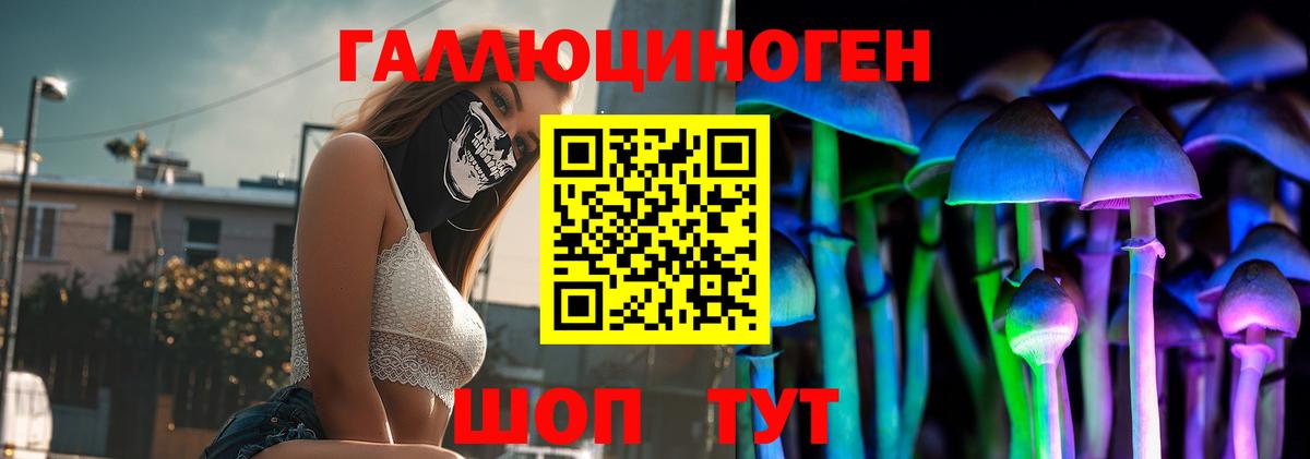 Богородицк  Галлюциногенные грибы MAGIC MUSHROOMS  купить закладку  Вход с VPN 